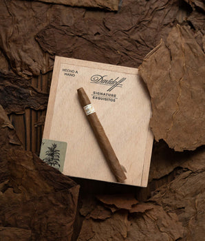 Davidoff Signature Exquisitos - nextCIGAR